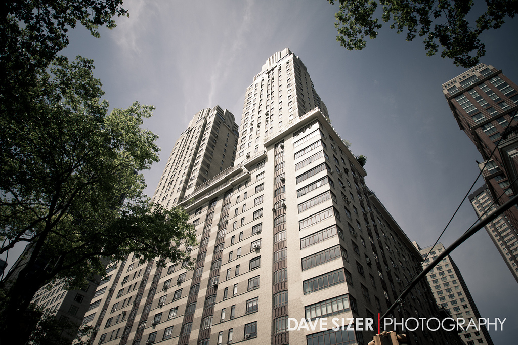 Vestibulum dapibus mauris